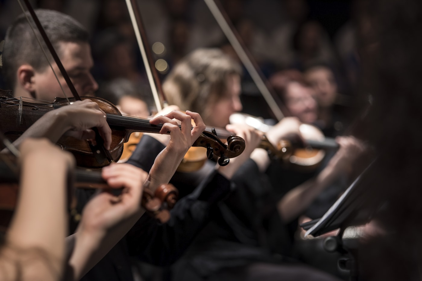 Violon en atelier